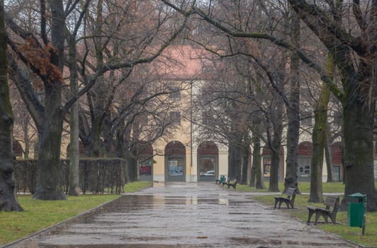 Munich, Germany - Dec 22, 2023 - Wooden benches and Trees in the garden of the Munich Residenz on a rainy day with Hofgartenarkaden building in the background. Design elements of European architecture structure, Space for text, Selective focus.