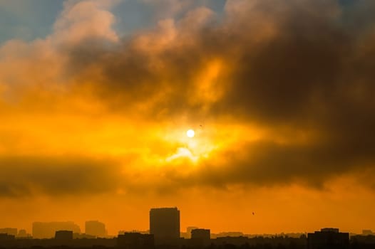 Dawn. Clouds cover the sun in the morning sky over the city. Birds in flight. Silhouettes of buildings in backlight