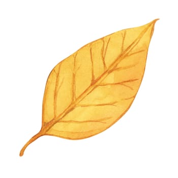 Autumn leaf in yellow color. Bright and festive Fall design element. Watercolor clipart for print, cards, Thanksgiving, seasonal celebrations, floral greeting arrangements, farmers market, stickers