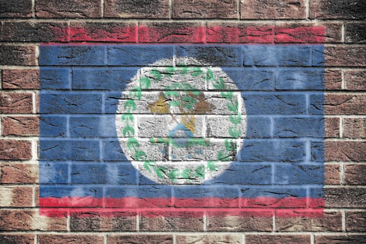 A Belize flag on a brick wall backgroundred blue stripes