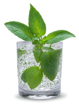 Kazakh Kumys in clear glass garnished with sprig of green mint. Drink isolated on transparent background.