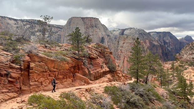 A female hiker walks away from the camera on the West Rim Trail at Zion National Park above Angels Landing. The red rock canyon background is stunning in winter on a cloudy day - Utah, USA
