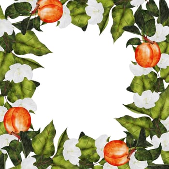 Apricot frame. Juicy watercolor illustration hand drawing of ripe fruit and flowers. Clip art on isolated white background. Ideal for logo, tags, stickers for natural food and cosmetics stores. High quality photo