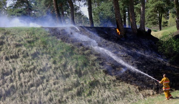 Firefighters successfully contained a large grass fire near rural homes, preventing any damage to the properties. Their swift response and effective coordination ensured the safety of the residents.