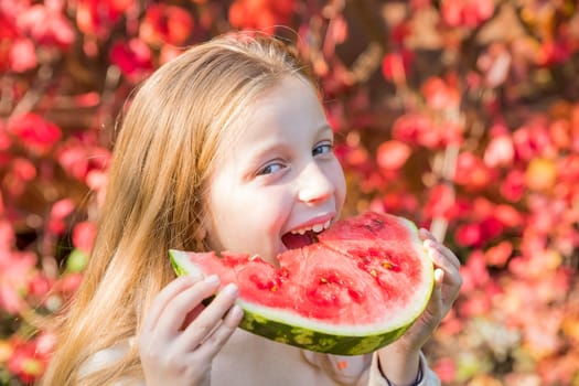 A little girl, with a bright smile on her face, is joyfully holding a slice of watermelon in her hands. Summer concept.