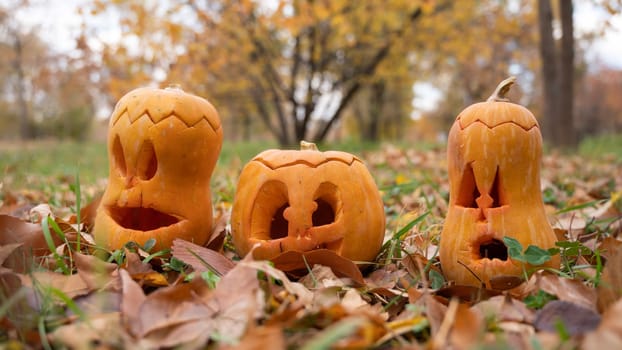 Three jack-o-lantern pumpkins on fallen leaves in a park. Halloween decorations