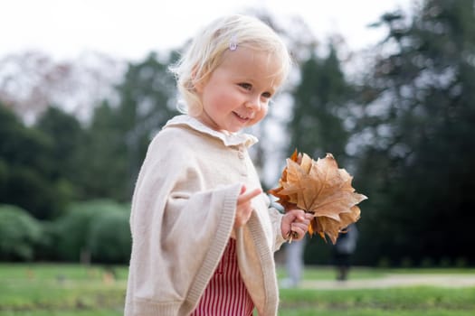 Little boy having fun during stroll in forest at sunny autumn day. Child playing with maple leaves. Hiking with little kids.