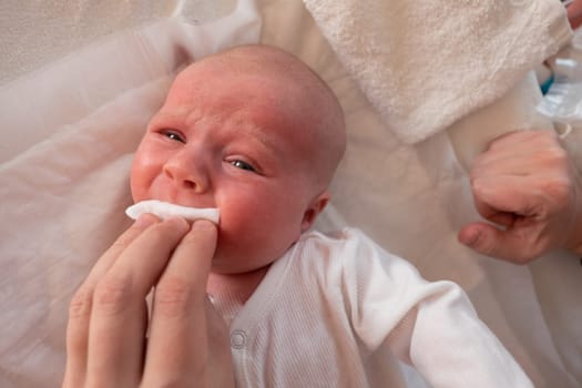 Young adult mother hand wiping baby boy cheek with white cotton pad. Daily routine. Care about infant clean and soft body skin.