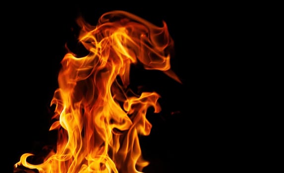 Decorative background with fire flames on black with copy space