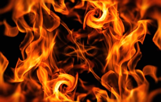 Decorative background with fire flames on black with copy space