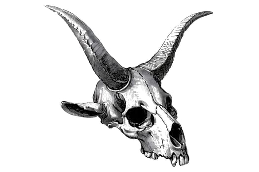 Black and White Vintage Hand Drawn Animal Skull cut out Illustration