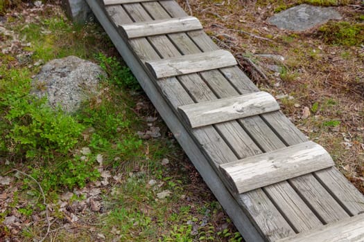 DIY wooden stairs in the forest, steps to the top, blackberry bushes, summer travelling in Finland