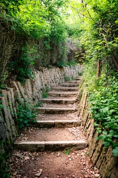 Stone Stairs moving up to success in green environment