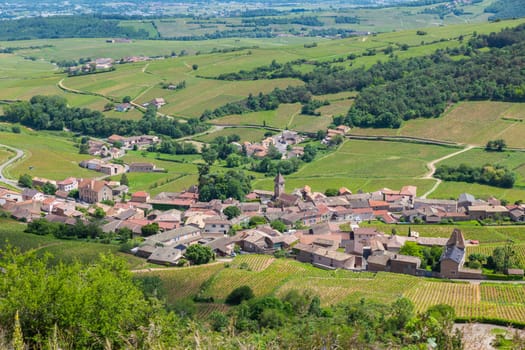 Environment of La Roche de Solutre with vineyards, Burgundy, France