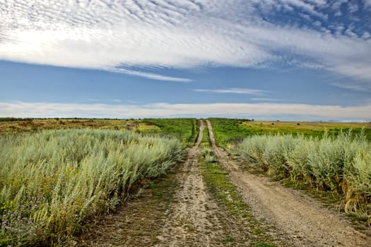 A small dirt road leads into the prairie setting in north Idaho.