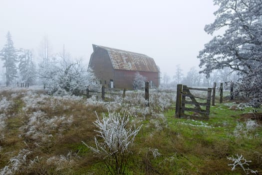 An old barn stands in a partly snow covered field on a foggy early winter day in north Idaho.