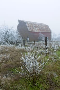 An old barn stands in a partly snow covered field on a foggy early winter day in north Idaho.