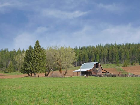 A small barn stands in a grassy field along with trees in northeast Washington.