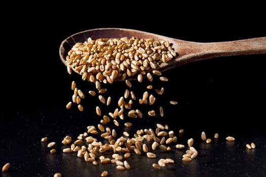 A concept photo of small hard red wheat berries falling off a spoon onto the table.