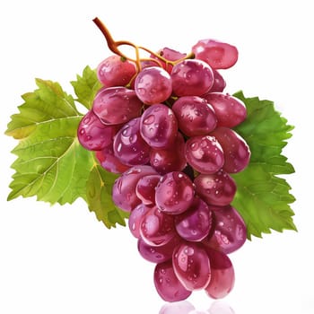 Close up of red grapes hanging isolated on white background.
