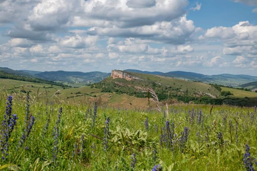 Environment of La Roche de Solutre with vineyards, and the giant rock to climb on the background, Burgundy, France with purple flowers