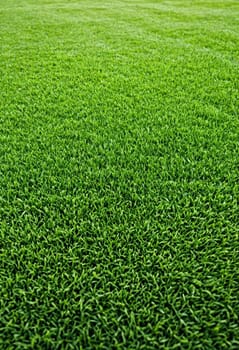 A close-up view of a lush green grass field, showcasing the vibrant and healthy blades of grass.