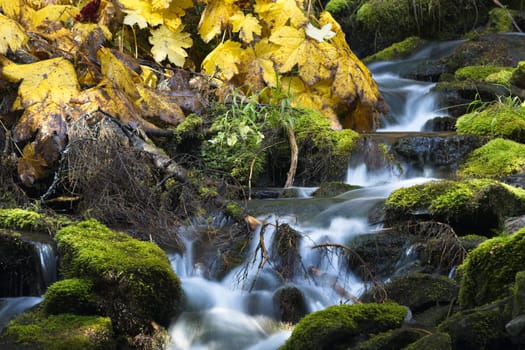 Water from a stream cascades over the rocks in autumn in north Idaho.