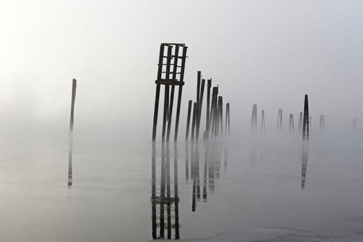 Wooden pilings rise out of the calm water on a foggy morning in January on the Pend Oreille River in north east Washington state.