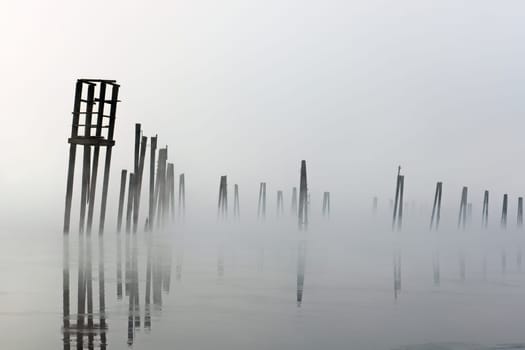 Wooden pilings rise out of the calm water on a foggy morning in January on the Pend Oreille River in north east Washington state.