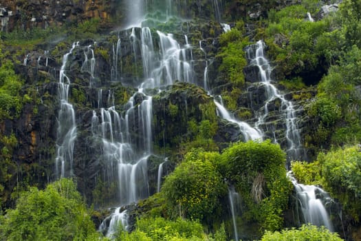 A close up photo of lush waterfalls at Thousand Springs near Hagerman, Idaho.