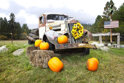 An old broken down antique truck sits in grass as a prop for decorations using flowers and pumpkins in north Idaho.
