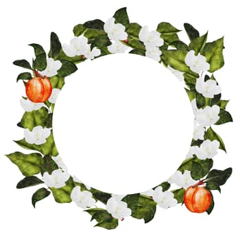 Apricot round frame. Juicy watercolor illustration hand drawing of ripe fruit and white flowers. Clip art on isolated white background. Ideal for logo, tags, stickers for natural food and cosmetics stores. High quality photo