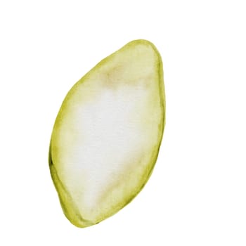 Pistachio nut watercolor. Hand drawn nut isolated on white background. Purified kernel. Realistic snack clip art. Ideal for logo, product packaging, banner. High quality photo
