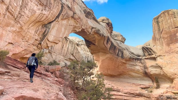 A female hiker hikes towards beautiful Hickman Bridge at Capitol Reef National Park on a sunny, blue-sky day. This massive natural bridge is an iconic attraction in this park - Utah, USA.