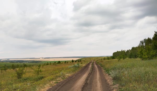 A dirt road stretches through a grassy field and past a line of trees on an overcast day. The sky is covered in grey clouds, and the horizon is obscured.
