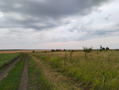 A dirt road cuts through a field of tall grass, extending towards a distant horizon. A line of trees stands in the middle distance. The sky is overcast with thick, gray clouds.