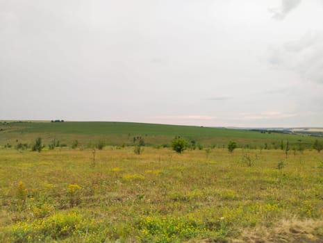 A wide shot of a field with rolling hills and a few trees in the distance. The sky is overcast and the grass is a mix of green and yellow.