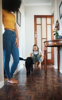 Dog, house and happy lesbian couple play, bonding or having fun together. Pet, gay women smile with animal in hallway and care in healthy relationship, love connection and lgbt people in home.