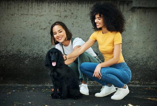 Love, lgbt and a couple walking their dog together outdoor in the city for training or exercise. Lesbian, smile and a happy woman with her girlfriend to teach their pet cocker spaniel on a leash.