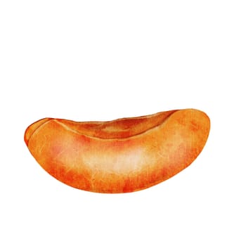 Apricot watercolor. Hand drawn apricot slice. Clip art on isolated white background. Ideal for logo, tags, stickers for natural food and cosmetics stores. High quality photo