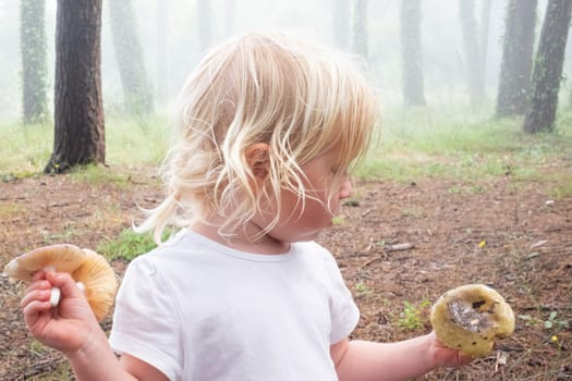 Caucasian child found the mushrooms.