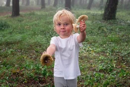 Caucasian child found the mushrooms.