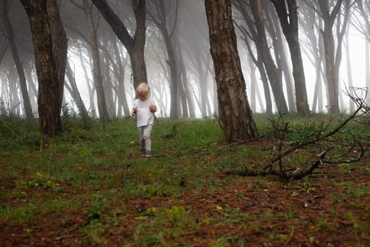 caucasian toddler walking in the wild forest together walking in a park