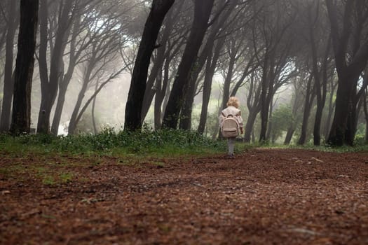 caucasian toddler walking in the wild forest together walking in a park