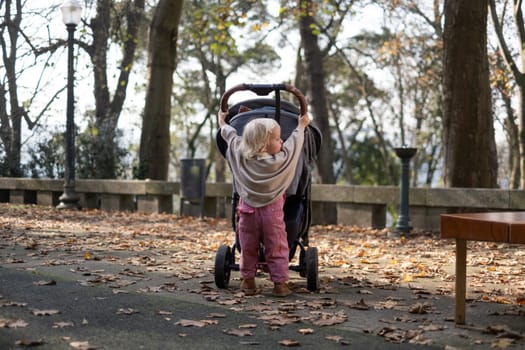 little girl pushing stroller in nature, girl in park walking like her mother.
