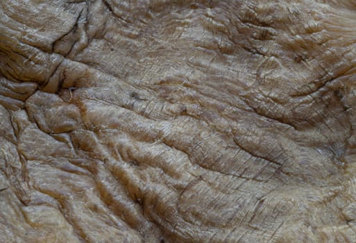 Close-up of Fish Maw Soup or Dried Fish Stomach (Dried Fish Bladder). Chinese dried food, Healthy eating lifestyle concept, Space for text, Selective focus.