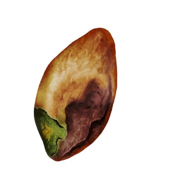 Pistachio watercolor. Hand drawn nut isolated on white background. Purified kernel. Realistic snack clip art. Ideal for logo, product packaging, banner. High quality photo