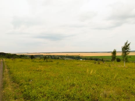 A dirt road winds through a grassy field, leading to a distant field with a cloudy sky above.