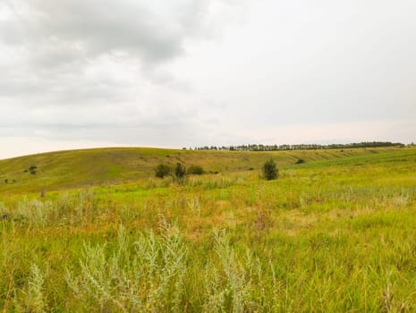 A green grass field with a rolling hill in the background, under a cloudy sky.