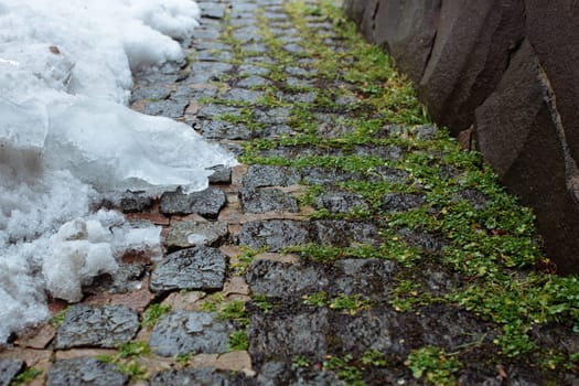 melted snow on paving stones covered with moss.